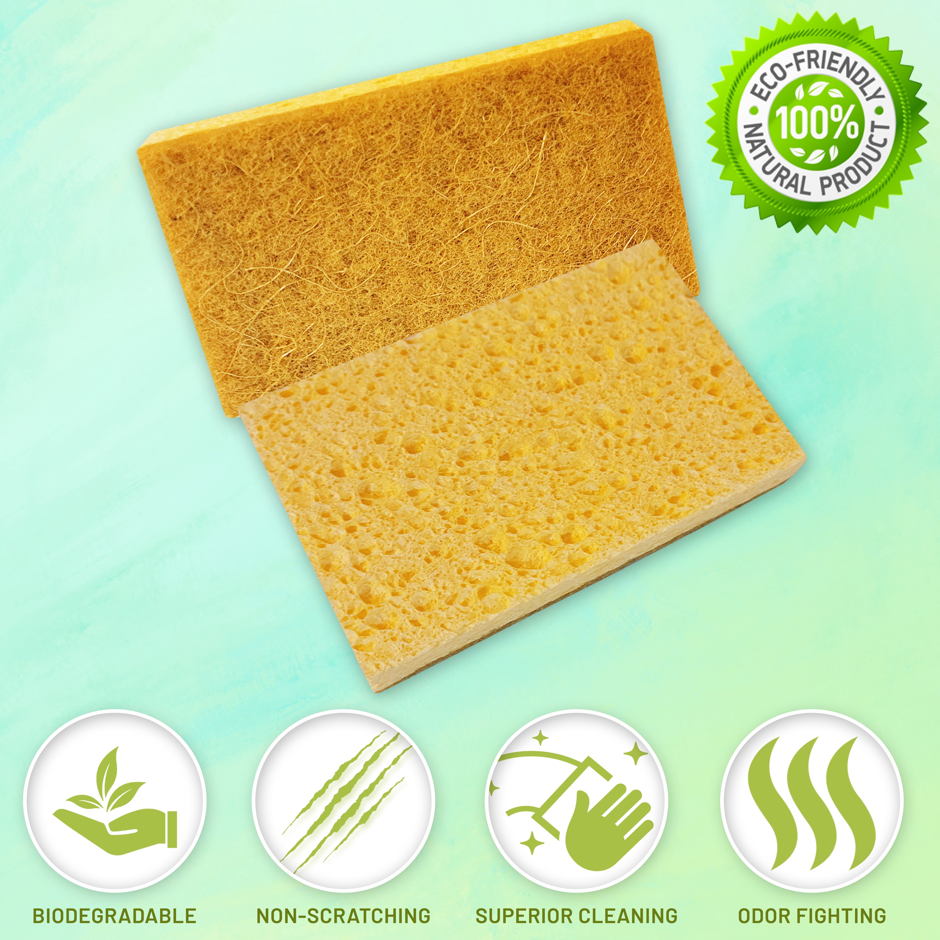 Eco-friendly All Natural Plant-based Biodegradable Sponges - 6 pk